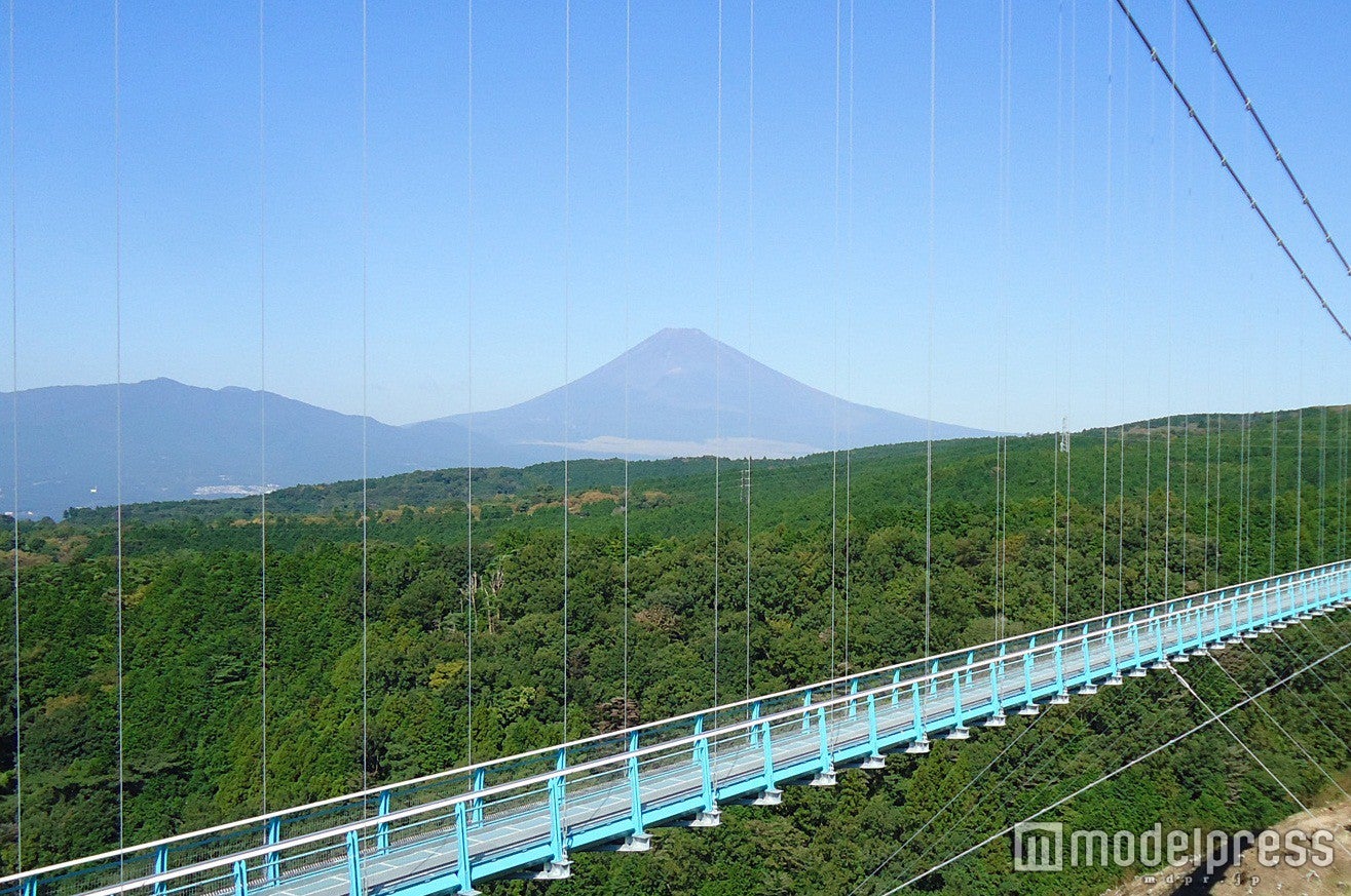三島スカイウォーク／画像提供：フジコー