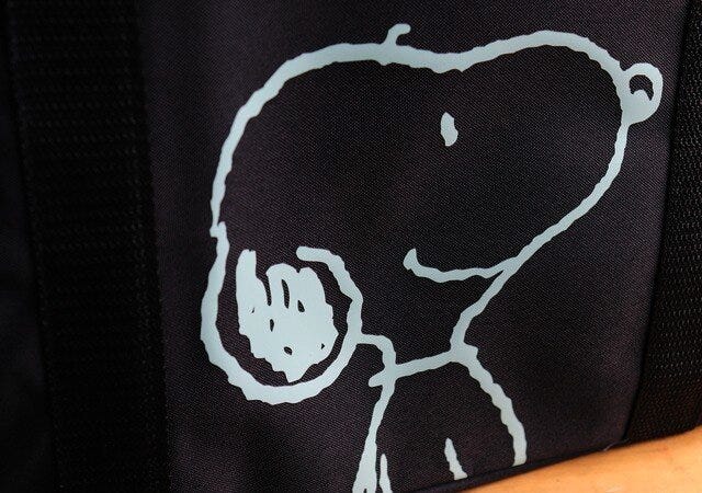 ムック　付録　宝島　画像　エコバッグ　スヌーピー　SNOOPY　イラスト　正面