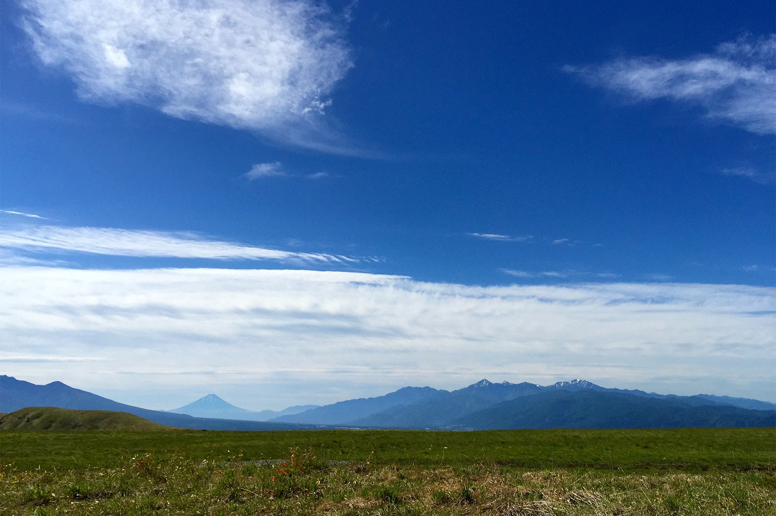 霧ヶ峰高原／画像提供：（一社）諏訪観光協会