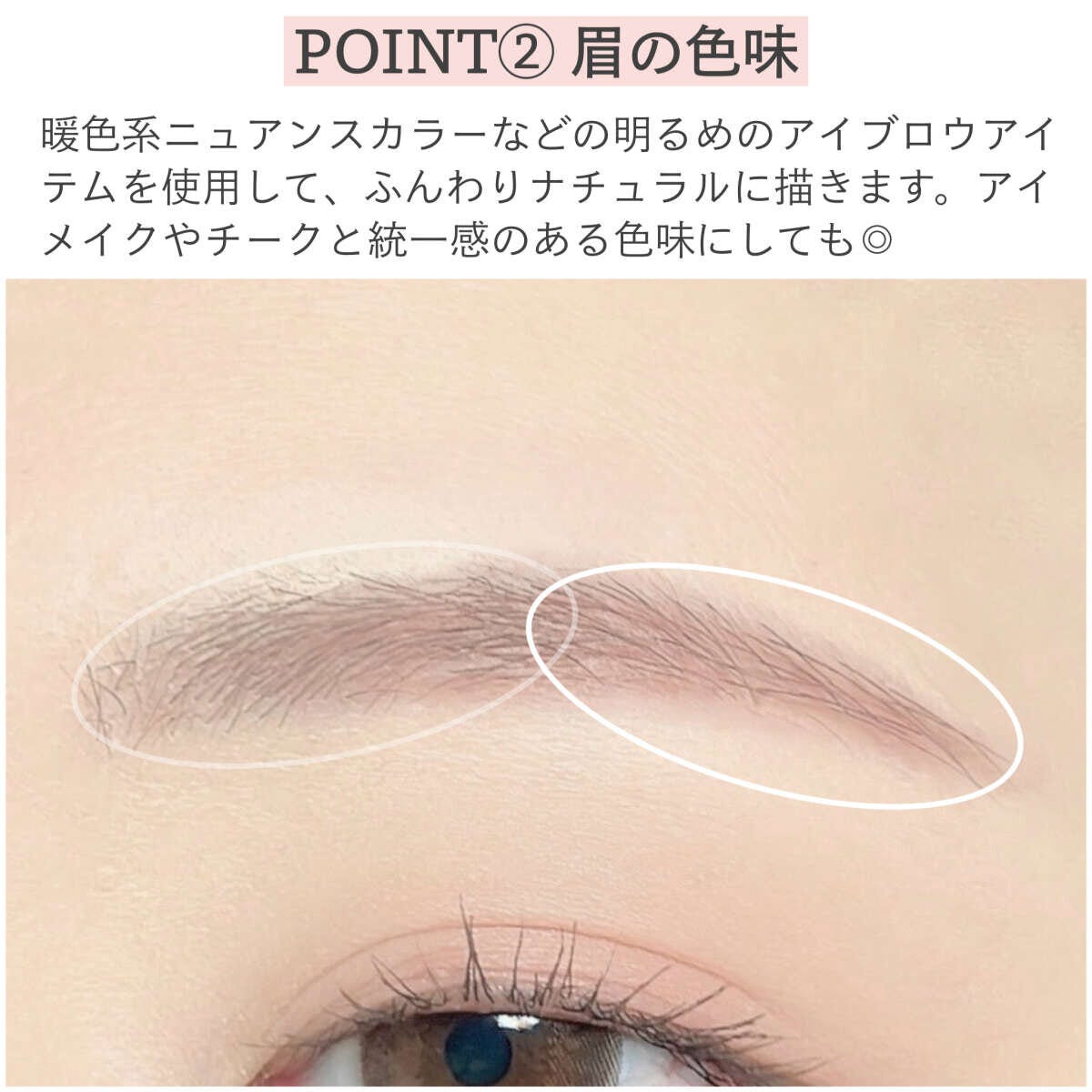 眉の色味やバランスを解説するために白丸で囲まれた眉のアップ 眉の色味やバランスを解説するために白丸で囲まれた眉のアップ