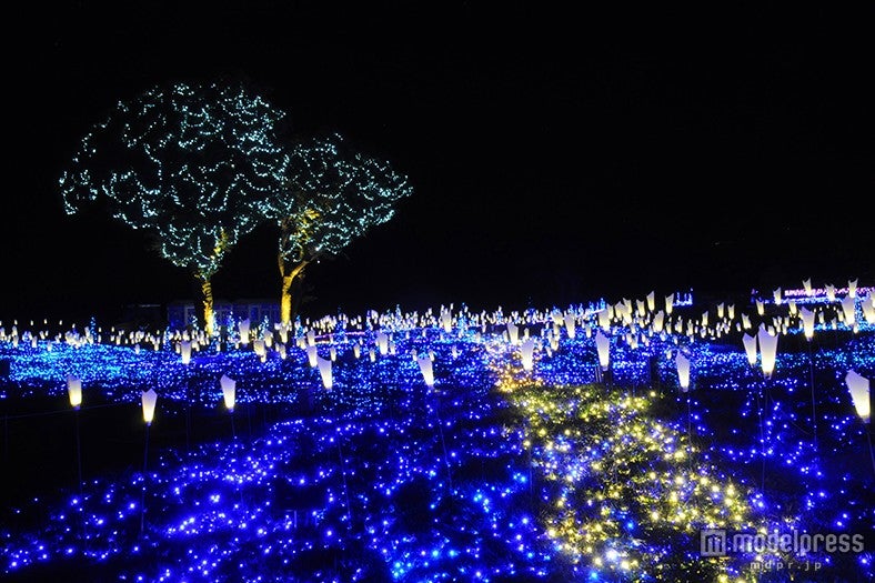 メイン会場／画像提供：マザー牧場