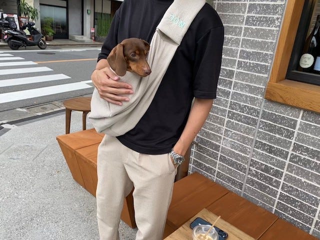 おしゃれな空間を愛犬と楽しめる♡