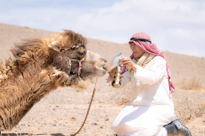 堺雅人「VIVANT」(C)TBS