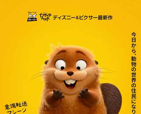 ディズニー&ピクサー最新作「私がビーバーになる時」2026年春日本公開決定 “動物たちと話せる世界”描く