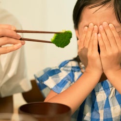 3歳の子どもに苦手な野菜を 食べろ と怒鳴る旦那 ママができることは モデルプレス 3歳の子どもに苦手な野菜を 食べろ と怒鳴る旦那 ママができることは モデルプレス