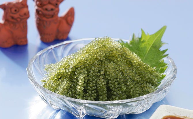 なんじゃこりゃああ 沖縄に行って食べて驚いたもの 珍しかったもの5選 女子旅プレス