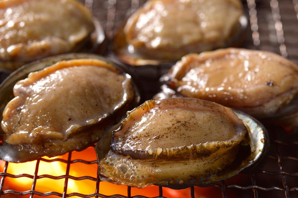 魚ジャパンフェス（提供画像）