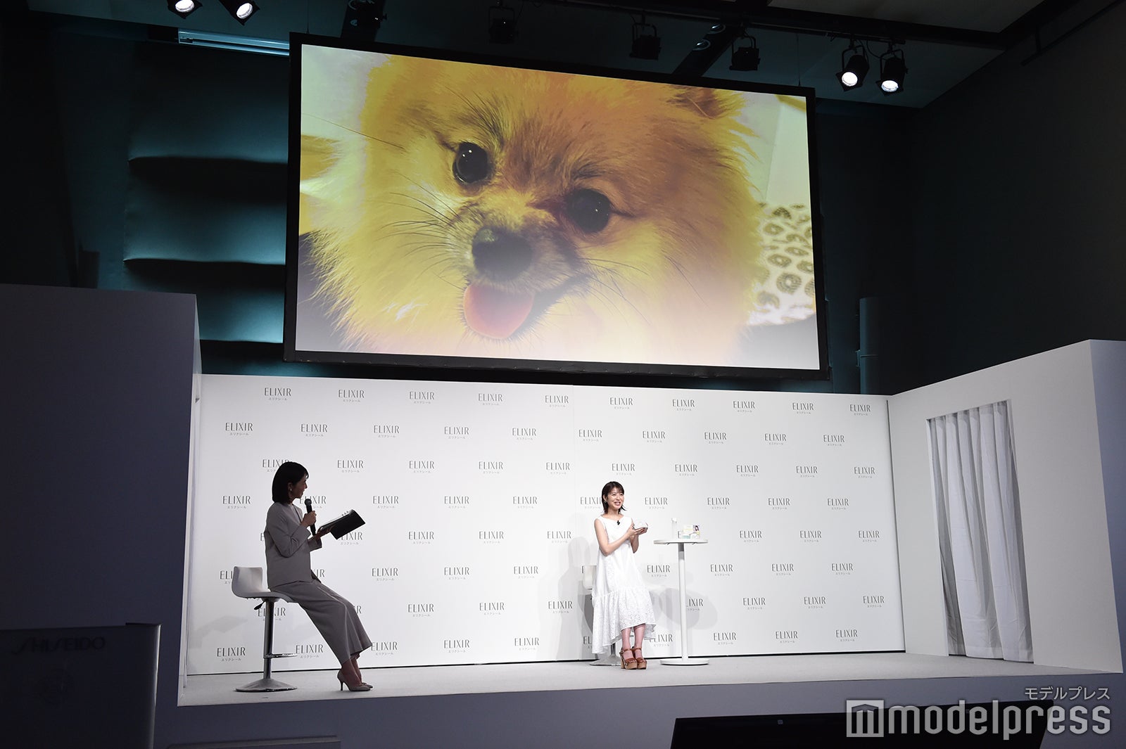 浜辺美波の愛犬・ぽぷ（C）モデルプレス