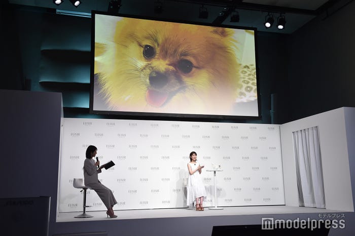 浜辺美波の愛犬・ぽぷ(C)モデルプレス