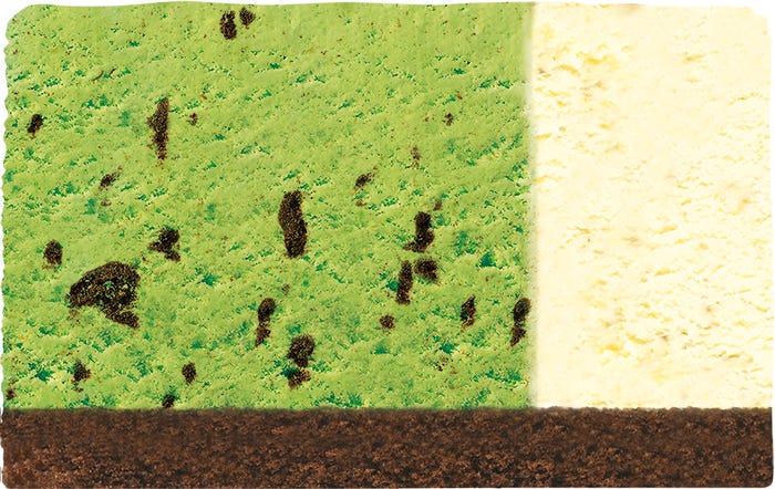 レックス:クッキー入り抹茶+バニラ(チョコレートスポンジ)/画像提供:B‐Rサーティワン アイスクリーム