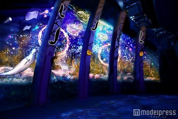 八景島シーパラダイス、初のハロウィンで参加型ショーや花火、マッピングなど目白押し