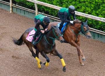 【フローラS】リアライズルミナス 動き抜群！好調アピール 試金石の一戦へ橋口師「(距離を)延ばして良さが出そう。東京も合う」