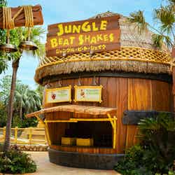 ドンキーコング・カントリー(画像提供:ユニバーサル・スタジオ・ジャパン)