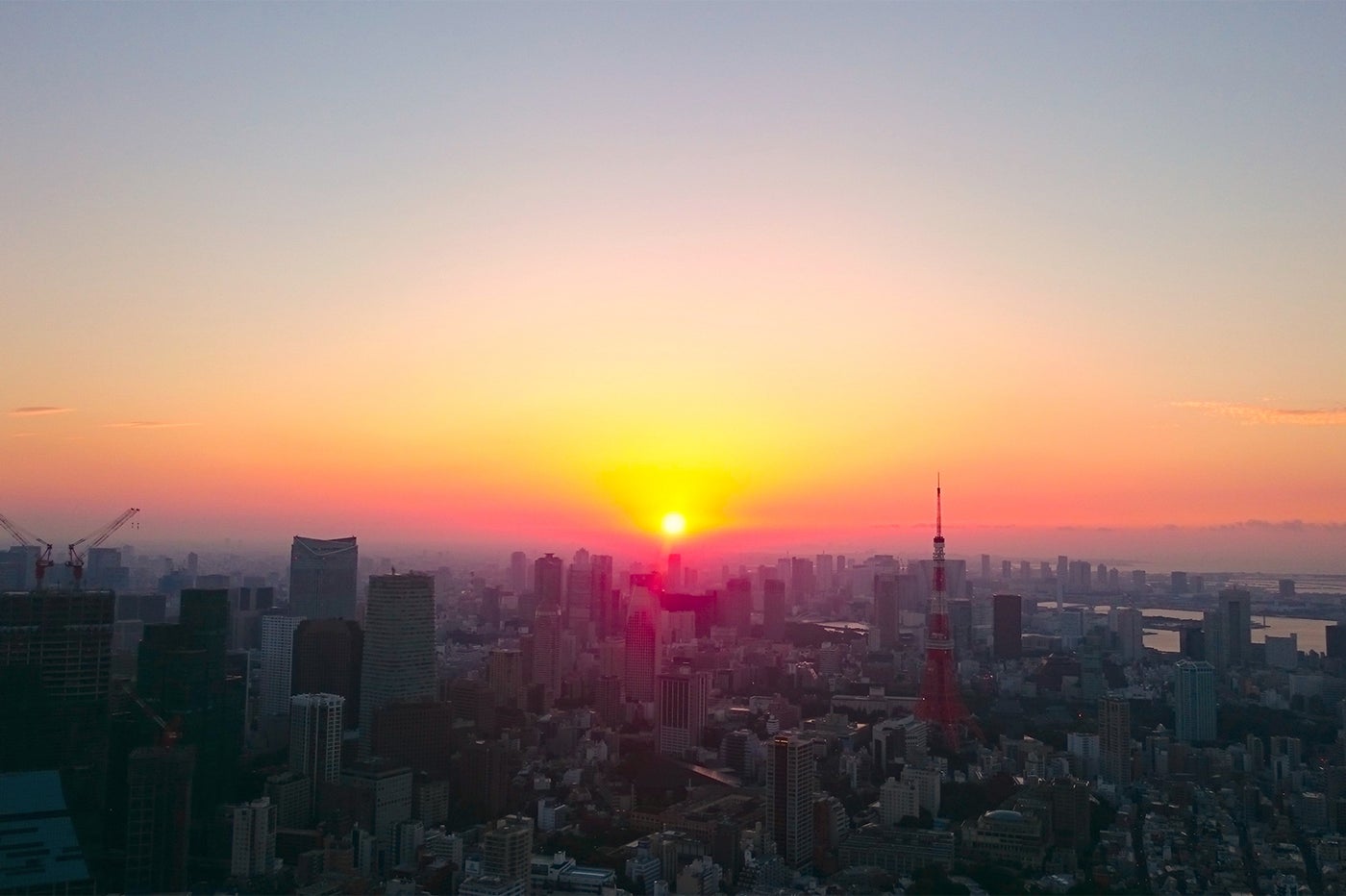 東京タワー方面から見られる初日の出<br>
／画像提供：森ビル