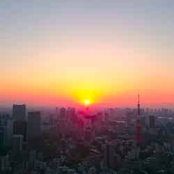 東京タワー方面から見られる初日の出
／画像提供：森ビル