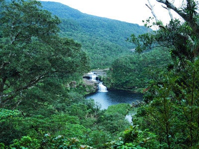 西表島の中央付近から北西へ流れる浦内川とマリユドゥの滝