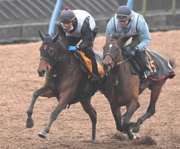【中山牝馬S】ニシノティアモ 重賞連続Vへ手応え抜群 上原佑師「前走以上の状態だと思います」