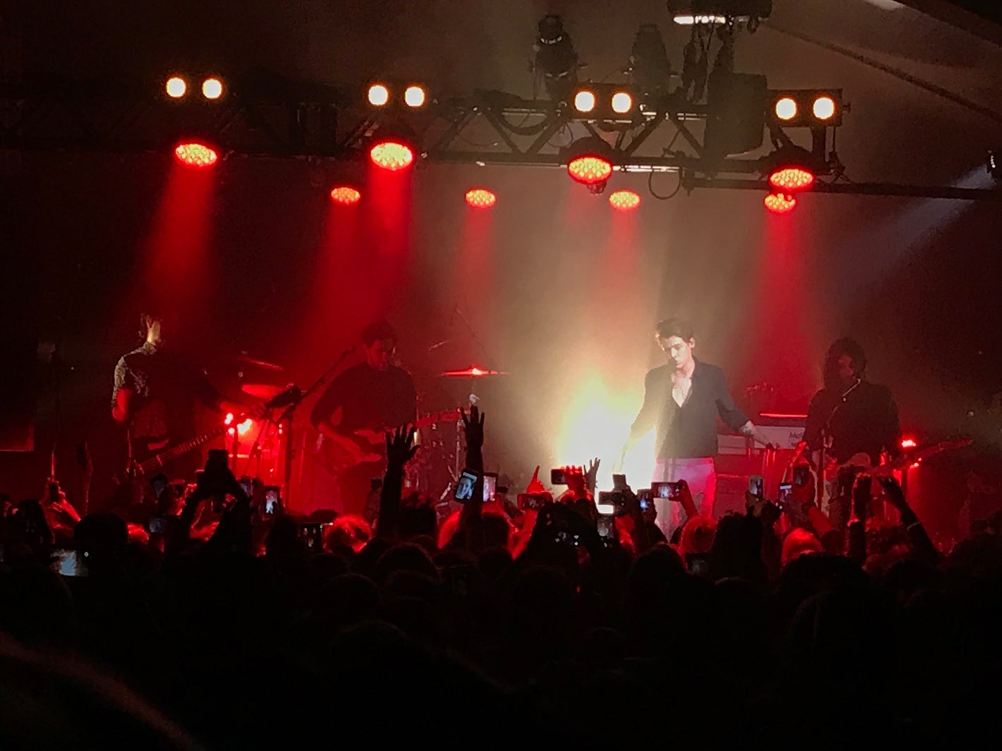 ハリー・スタイルズ／モデルプレス独占写真（提供画像）