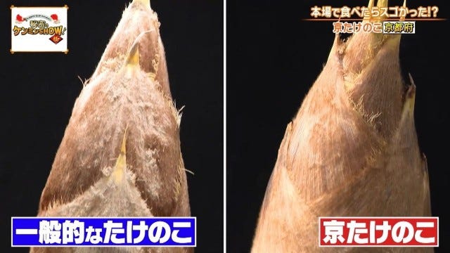 「絶対にうまい」京都府民を虜にする“京都限定の野菜”