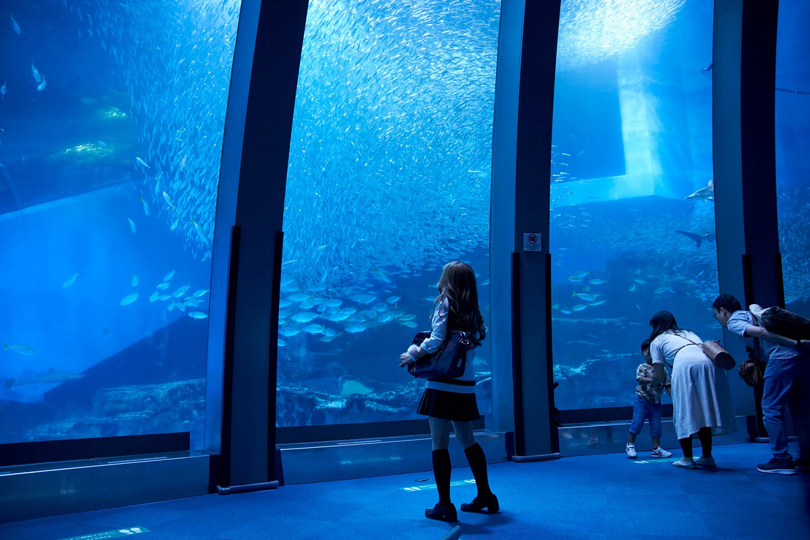 森七菜（C）2021『ライアー×ライアー』製作委員会（C）金田一蓮十郎／講談社