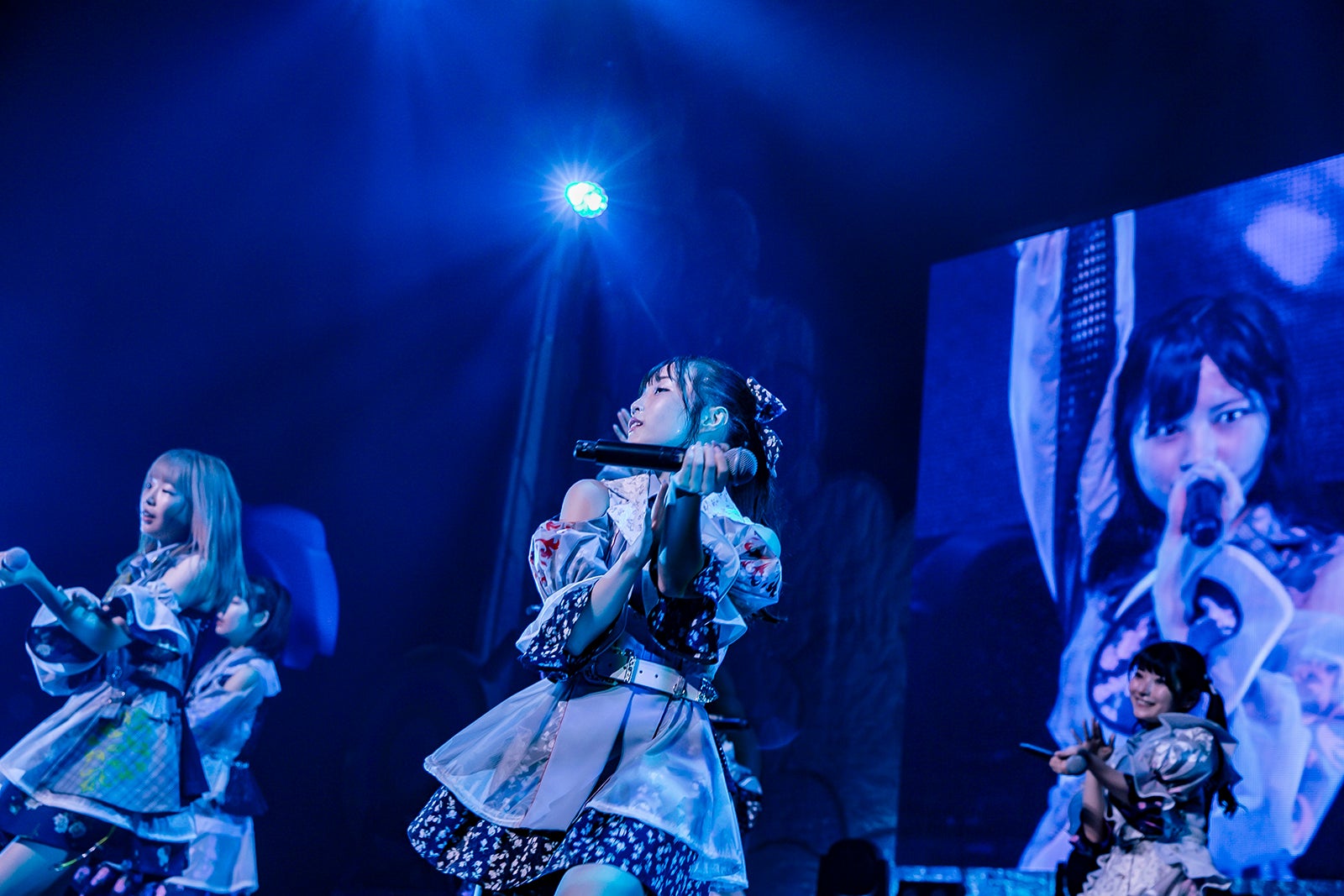 #ババババンビ（C）藤井拓