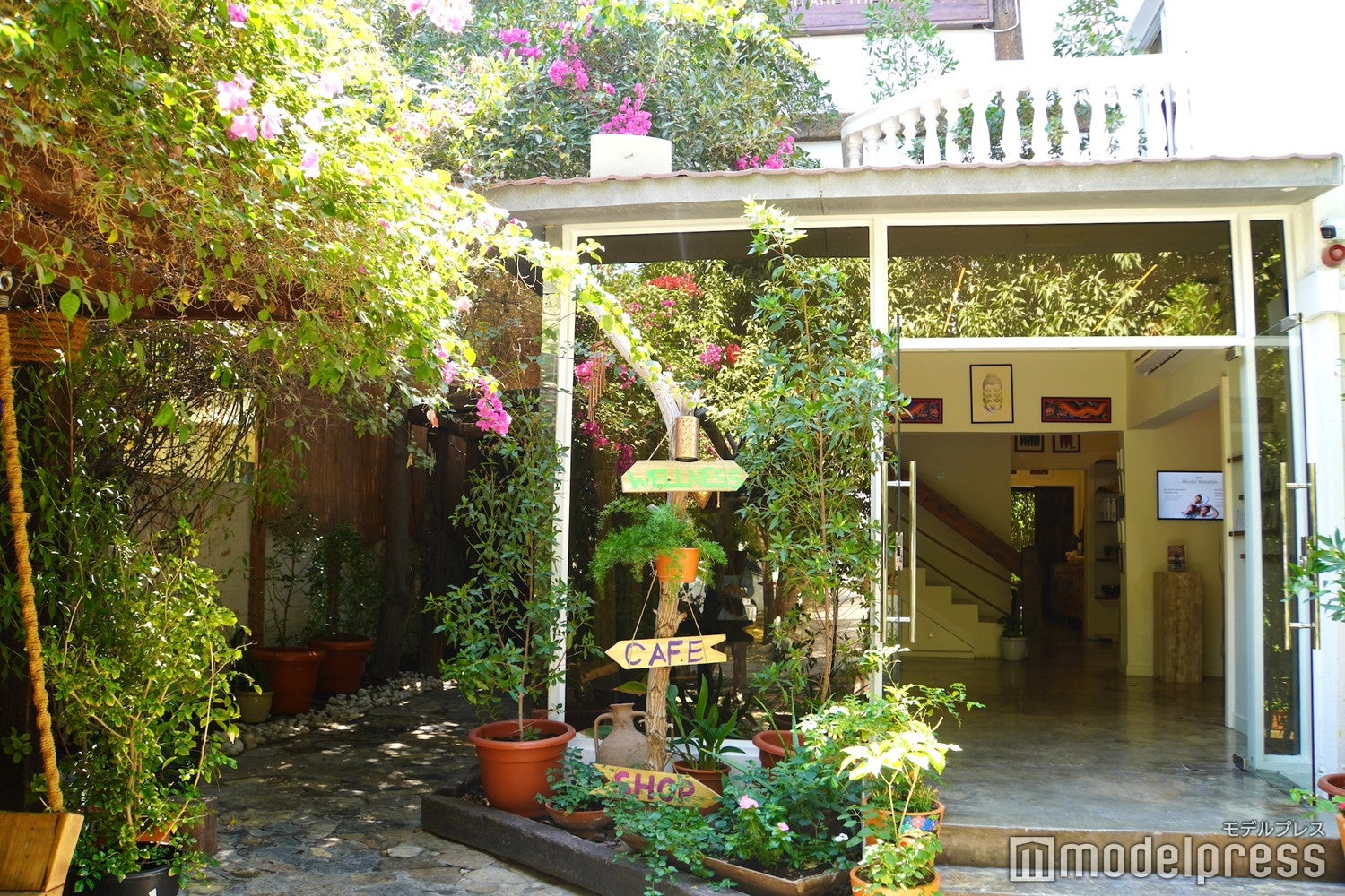 セヴァ（C）モデルプレス