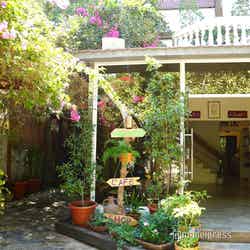 セヴァ(C)モデルプレス