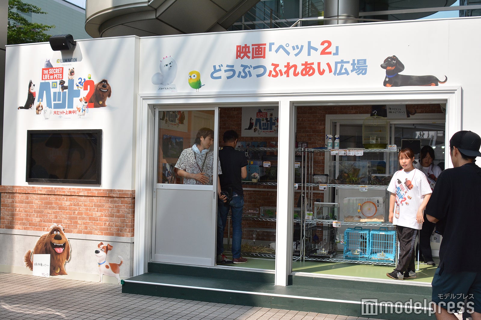 ようこそ！！ ワンガン夏祭り　THE ODAIBA 2019（C）モデルプレス