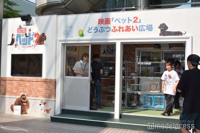 ようこそ！！ ワンガン夏祭り　THE ODAIBA 2019（C）ビューティーガール