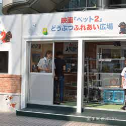 ようこそ!! ワンガン夏祭り THE ODAIBA 2019(C)モデルプレス