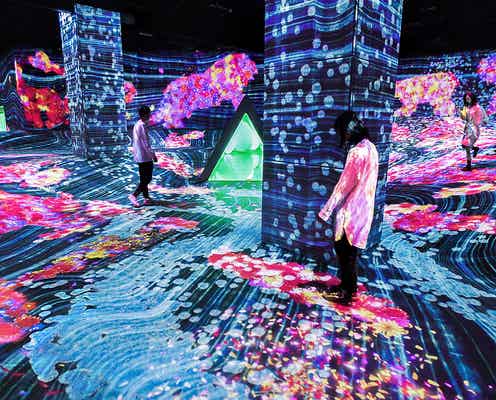 福岡「チームラボフォレスト」展示作品公開<7月21日オープン>