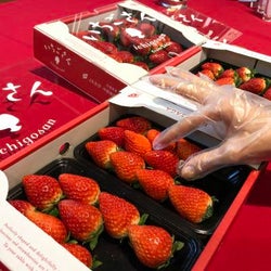 《1/15-19》モデルにも話題の青山“グランピングカフェ”が、今だけ「いちご」づくし♡