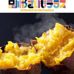 「品川やきいもテラス2020」開催、ねっとり甘い蜜芋や紫芋&やきいもグルメ100品種超が登場