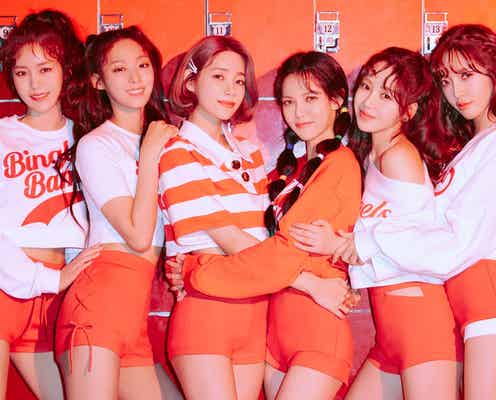 AOA、初の日本ファンミーティング中止&ファンクラブも突然休止に