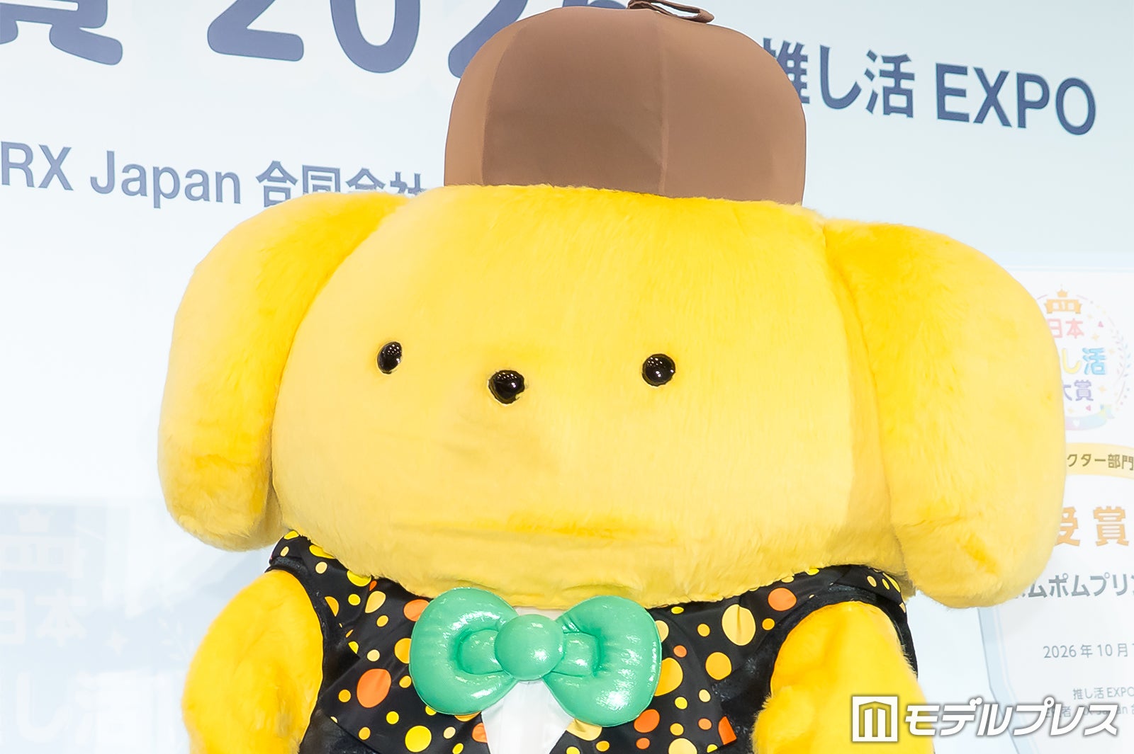 ポムポムプリン（C）モデルプレス
