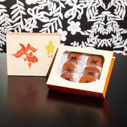 アートアクアリウム美術館/画像提供:アートアクアリウム製作委員会