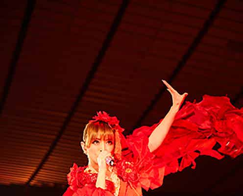 浜崎あゆみ、25周年記念ライブ決定 デビュー日当日に“聖地”で開催