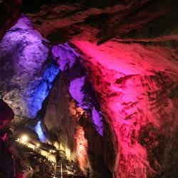 カラフルにライトアップされた洞内はSNS映え抜群(提供画像)