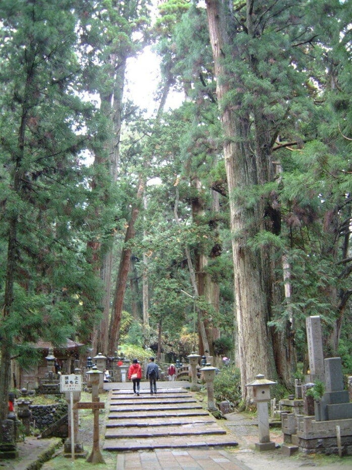 背の高い杉に囲まれた奥之院 表参道(2008年11月9日撮影)