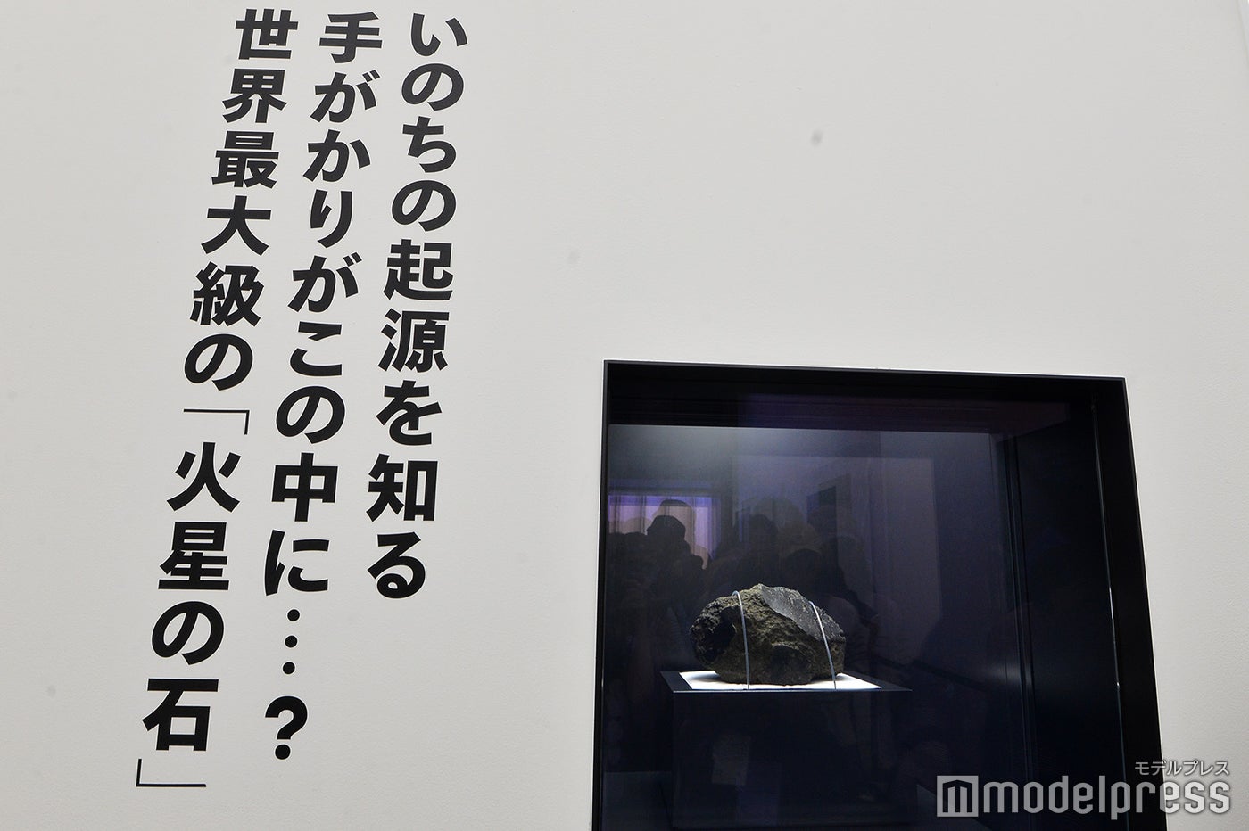 日本館（C）モデルプレス