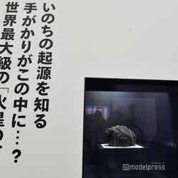 日本館(C)モデルプレス