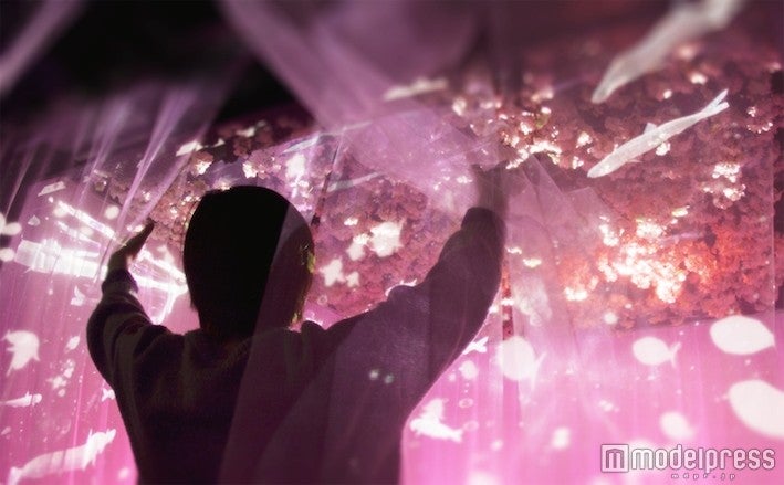 いわし達の誘い／画像提供：ワン・トゥー・テン・ホールディングス