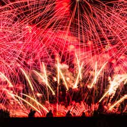 大曲の花火(秋田県大仙市)/photo by ぱくたそ