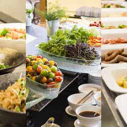 蒼の湖邸 BIWAFRONT HIKONE/提供画像