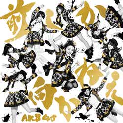 AKB48の35thシングル「前しか向かねえ」（2月26日発売）Type A