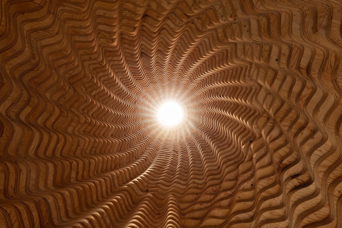 （C） Keishin Horikoshi／SS （C） SS