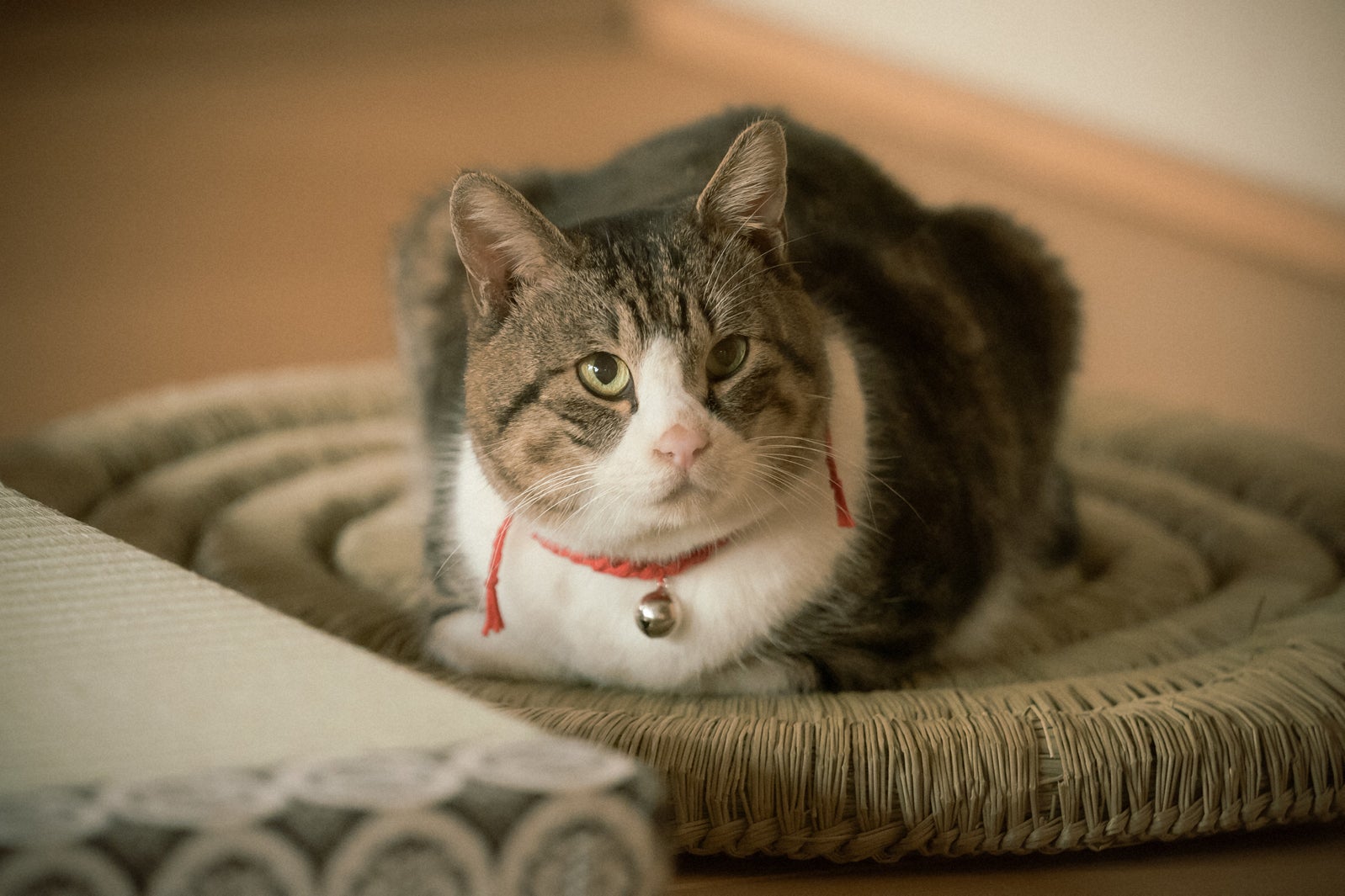 「光る君へ」第12話より（C）NHK