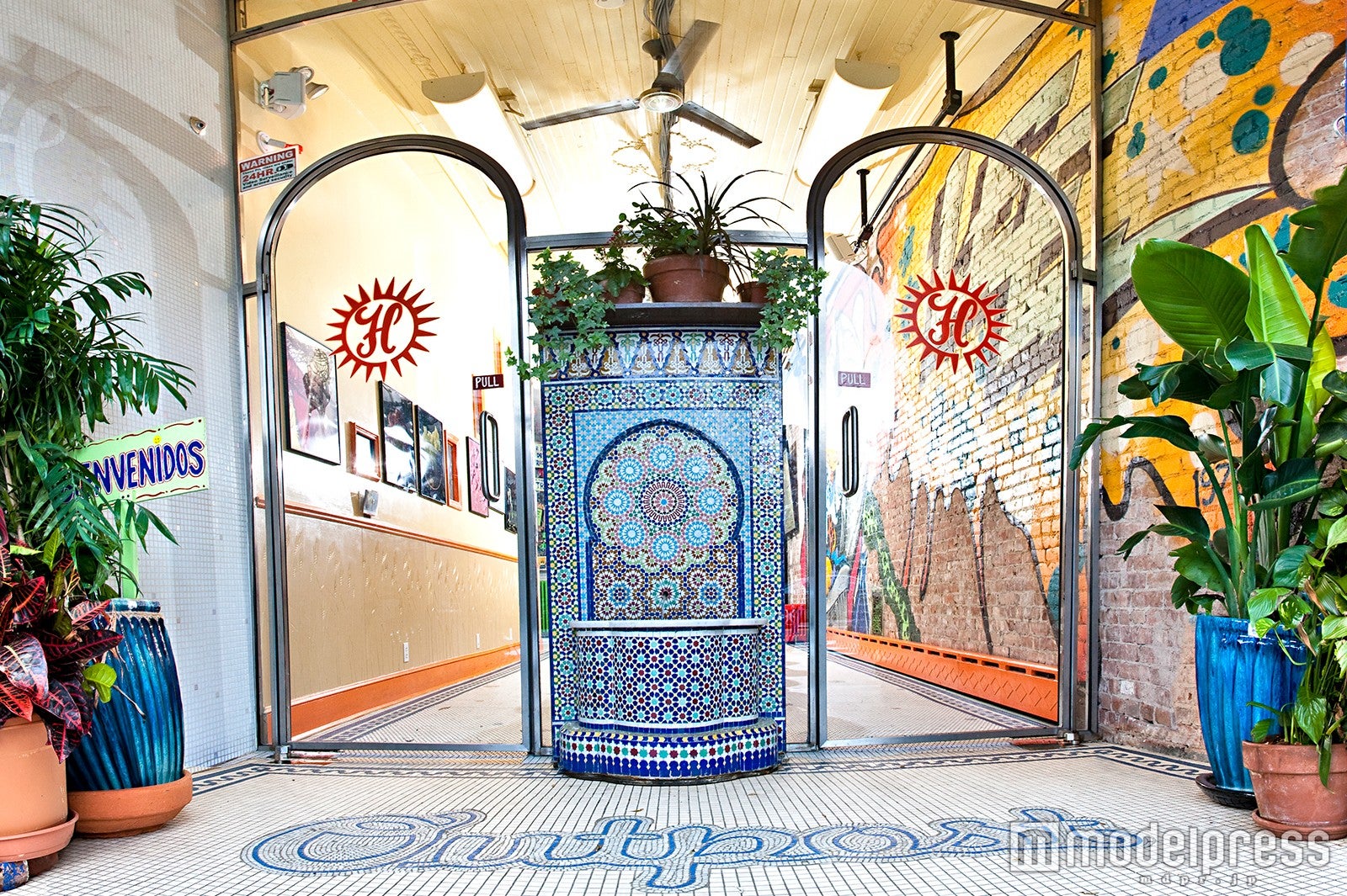 Habana Outpost Brooklyn／画像提供：クリエイティブマンプロダクション