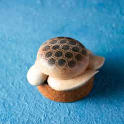 すみだ水族館コラボアフタヌーンティー/提供画像