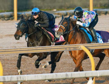 【チューリップ賞】アランカール しまい1F11秒1の鋭い伸び 新コンビ・武豊も好感触「いい馬ですね」